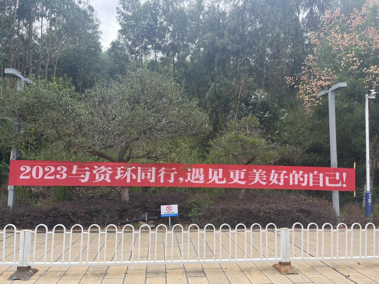 image11.jpeg